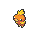 Torchic