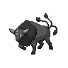 Paldean Combat Breed