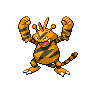 Base Shiny