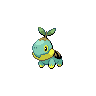 Base Shiny