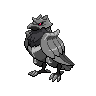 Base Shiny